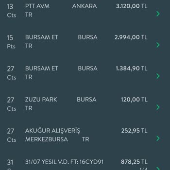Citroen Eksik Yapılan Bakım Fazla Alınan Ücret Hey Hava Filtresi Nerede?