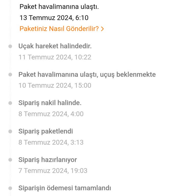 Temu Kargosu Elime Ulaşmadı