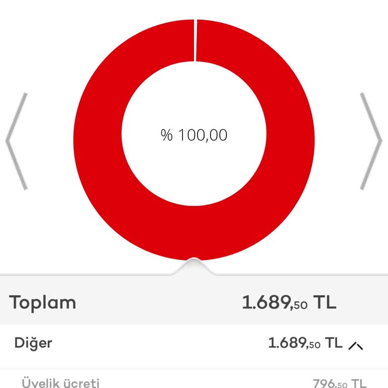 Akbank Axess Platinum 769,50 Aidatı