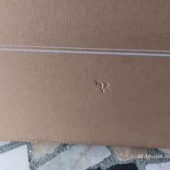 Aras Kargo Yanlış Şirket Ve Sorunlu Teslimat Deneyimi