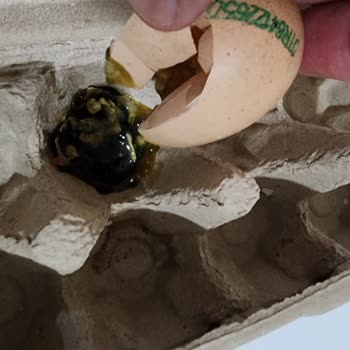 Migros Hemen Bozuk Ürün Satıyor Ve Arkasında Değil
