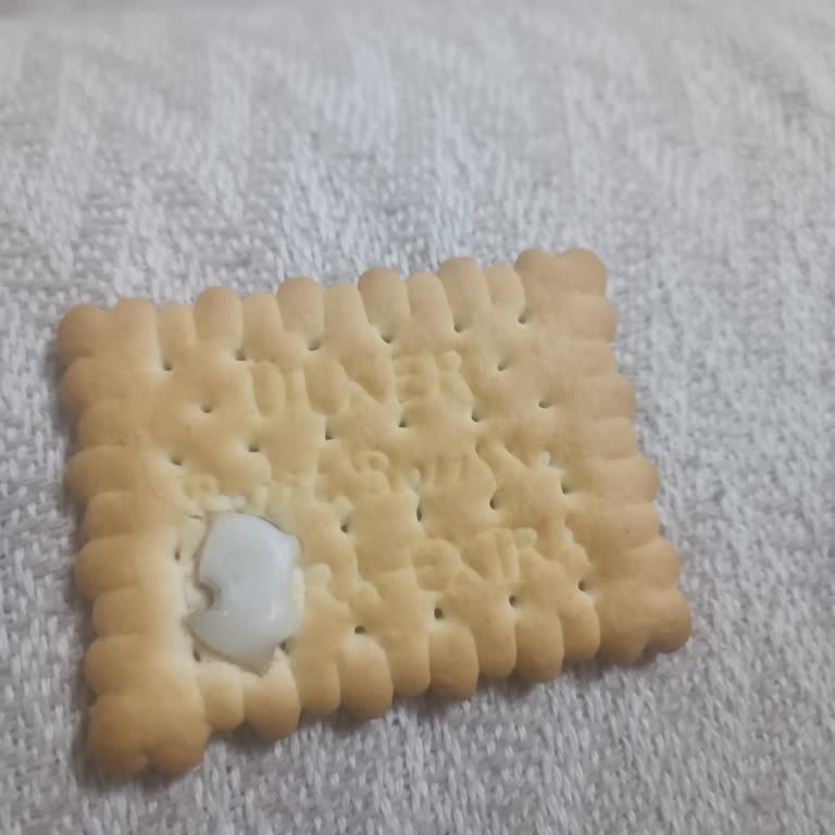 Ülker Bisküvi De Yabancı Madde