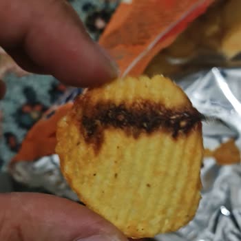 Amigo Cipse Ölü Böcek Yapışmış