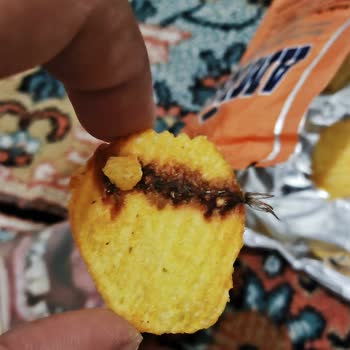 Amigo Cipse Ölü Böcek Yapışmış