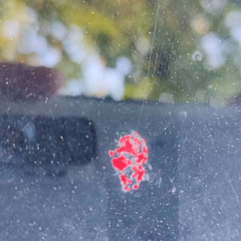 2023(Ağustos) Model Citroen C3 Tavan Boyası Atıyor!