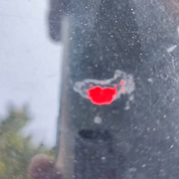 2023(Ağustos) Model Citroen C3 Tavan Boyası Atıyor!