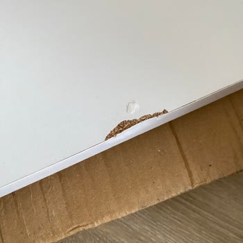 A101 Ekstra İadesi Yapamadım