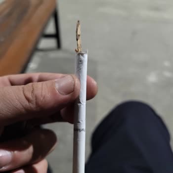 Philip Morris Koca Bir Sap Düzeltin
