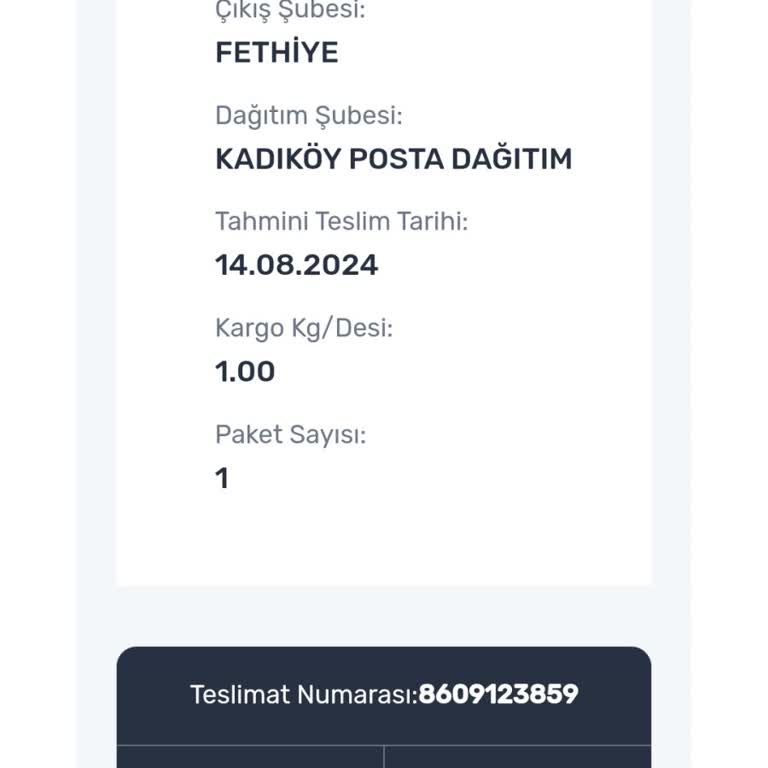 PTT Kargo Sorunu Kaç Gündür Şubede Dağıtıma Çıkmıyor
