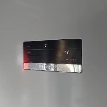 Bozuk Bosch Buzluk Ve Buzdolabı