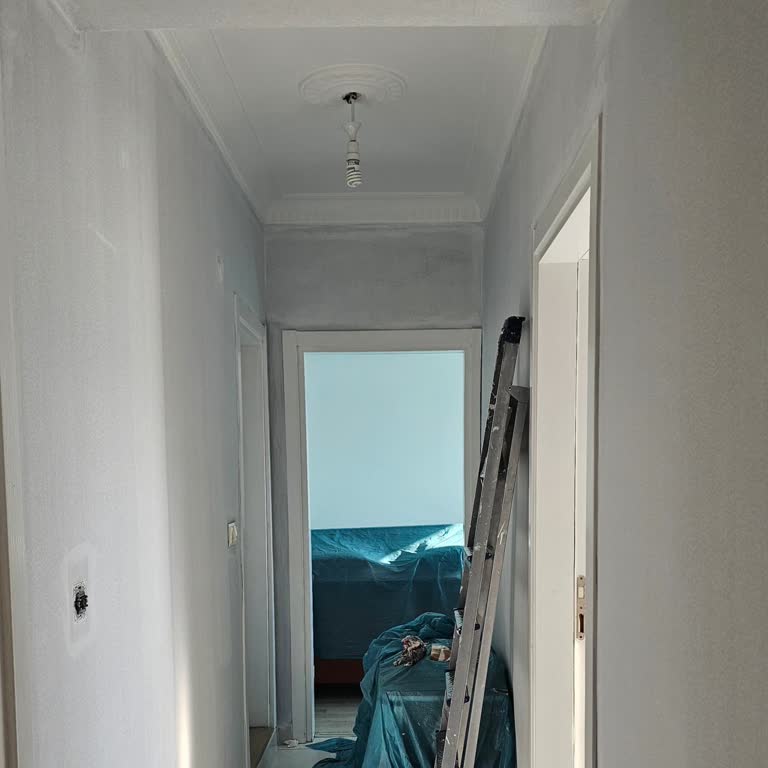 Polisan Yeni Boya Renk Uyuşmazlığı Şikayeti