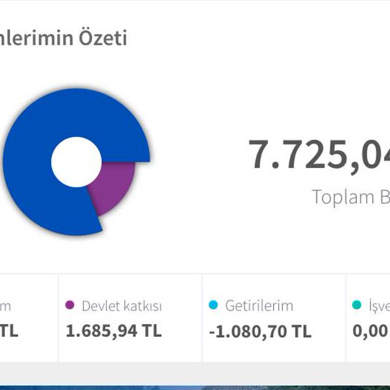 AgeSA Hayat ve Emeklilik Yatırılan Para İle Yatırım Farkı