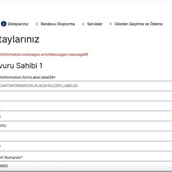 VFS Global Danimarka Vize Randevusu