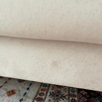 Mondi Home Servis Ve Koltuk Kirliliği