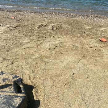Royal Teos Resort Otel Hizmet Kalitesi Ve Temizlik Sorunları!