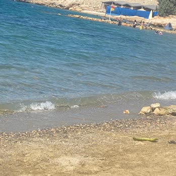Royal Teos Resort Otel Hizmet Kalitesi Ve Temizlik Sorunları!