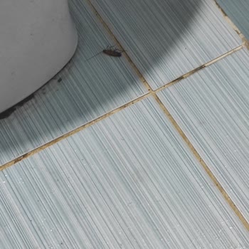 Tarım ve Orman Bakanlığı Diyarbakır Tarım İl Müdürlüğü Misafirhanesini