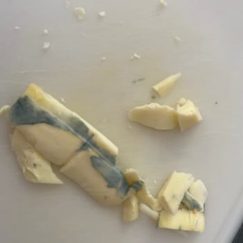 Ekici Peynirlerinin Dolap Ömrü Kısa