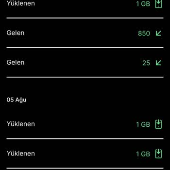 Kim GB İster İnternet Yüklenmiyor Çözüm Bulun