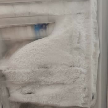 Dijutsu Müşteri Hizmetsizliği