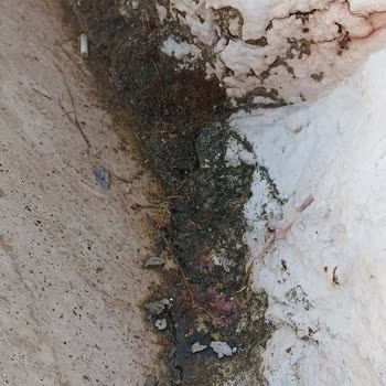 Aqua Atlantis Tek Kelime İle Çok Kötü