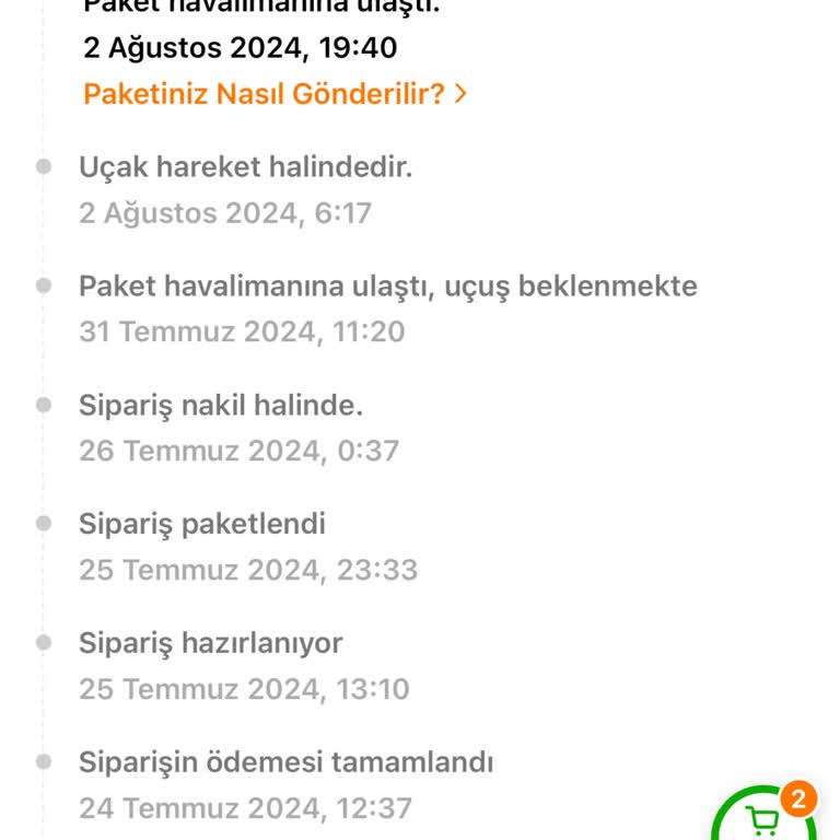 Temu Gümrüğe Takılıp Kalan Siparişler
