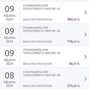 Steam Bilgim Dışında Kartımdan Harcama Yapıyor