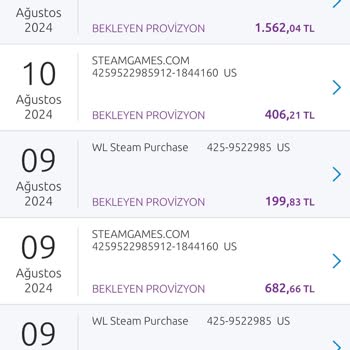 Steam Bilgim Dışında Kartımdan Harcama Yapıyor