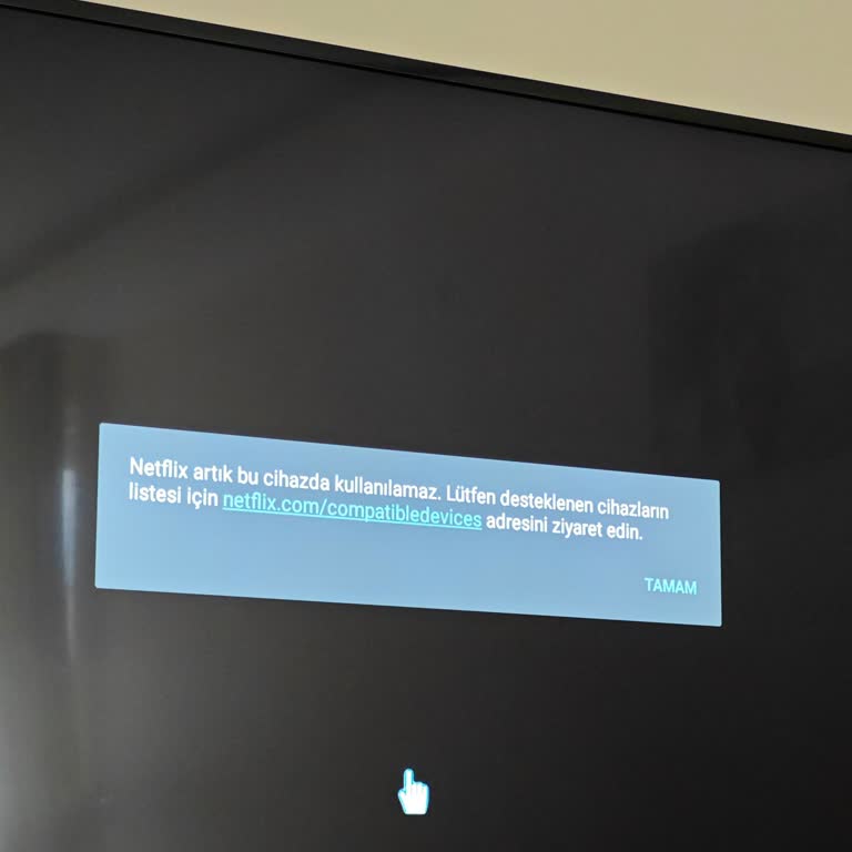 Awox Da Netflix İzleyemiyorum Desteklenmiyor Hatası Alıyoruz
