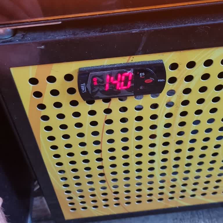 Tuborg Dolap Ve Sipariş