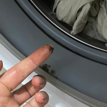 Bosch Otomotiv Bosch Çamaşır Makinesi Lastik Kısmında Siyah Çamur Sorunu