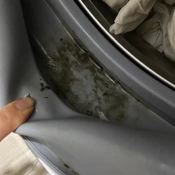 Bosch Otomotiv Bosch Çamaşır Makinesi Lastik Kısmında Siyah Çamur Sorunu