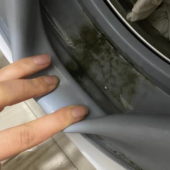 Bosch Otomotiv Bosch Çamaşır Makinesi Lastik Kısmında Siyah Çamur Sorunu