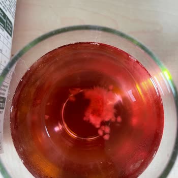 Sek Berry Hibiscus'un Kalitesizliği Ve Hayal Kırıklığı