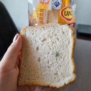 Migros'tan Aldığımız Küflü Uno Ekmek!