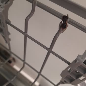 Bosch Bulaşık Makinesi Sepetlerinde Çürüme