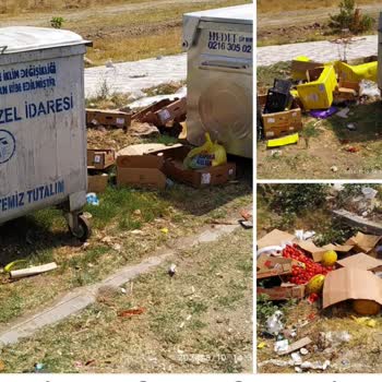 A101 Market Pislikleri Sahilimizi Pisletiyor!