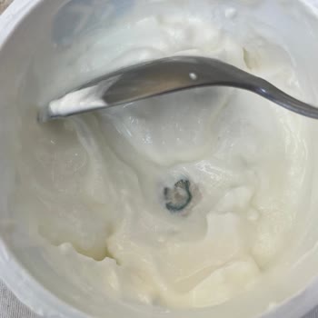 Sek Sade Quark Küflü Çıktı