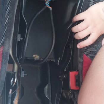 As Adana Seyahat Mağduriyeti