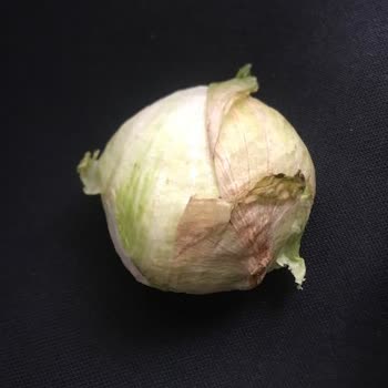 A101 Sonuçlanamayan İade Talebi