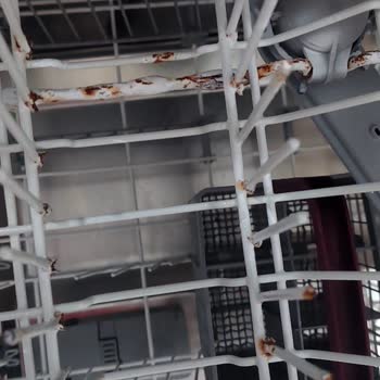 Arçelik Beyaz Eşyalarımda Küflenme Ve Temizlik Sorunları