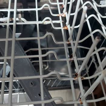 Arçelik Beyaz Eşyalarımda Küflenme Ve Temizlik Sorunları