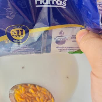 Harras Şehriyeden Böcek Çıktı