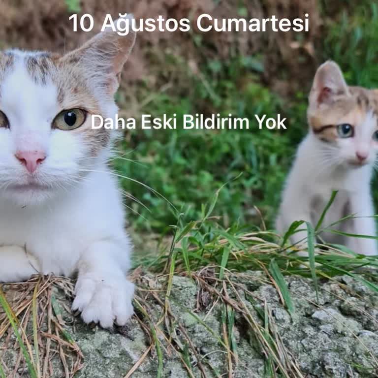 Vodafone'da 6 Aydır Çekmeyen Hat Ve Yetersiz Müşteri Hizmetleri