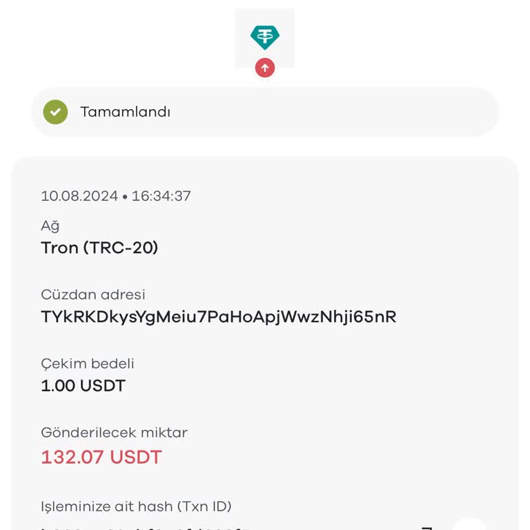 Paribu USDT Yi Göndermedi Fakat Göndermiş Gibi Gösterdi