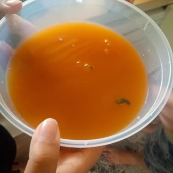 Tamek Meyve Suyu İçinden Çıkan