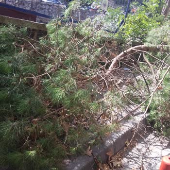 Sarıyer Belediyesi İstinye Devlet Hastanesi Önündeki Yeşil Alanlar Betonlaştı