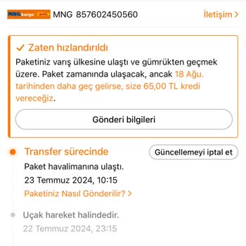 Temu Kargo Bekleme Ve Gümrük