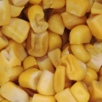 Yurdum Konserve İçi Kuru Ve Tadı Garip