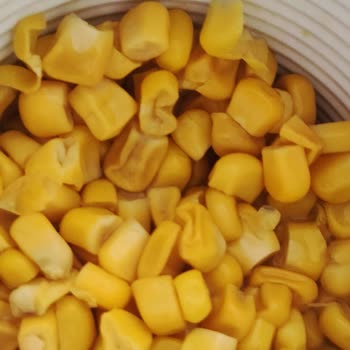 Yurdum Konserve İçi Kuru Ve Tadı Garip